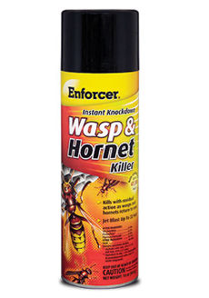 Wasp and Hornet Spray